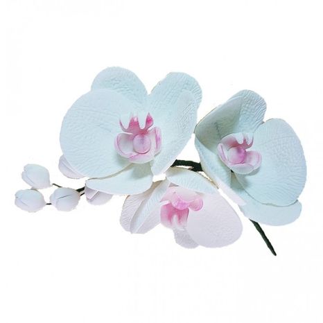Cukrový kvet - orchidea 1ks